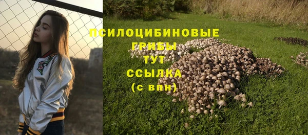 Альфа ПВП Абдулино