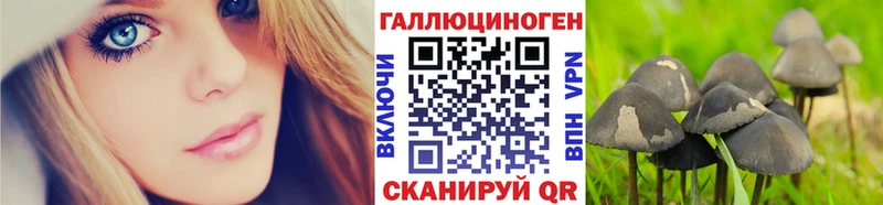 Псилоцибиновые грибы прущие грибы  Электроугли 